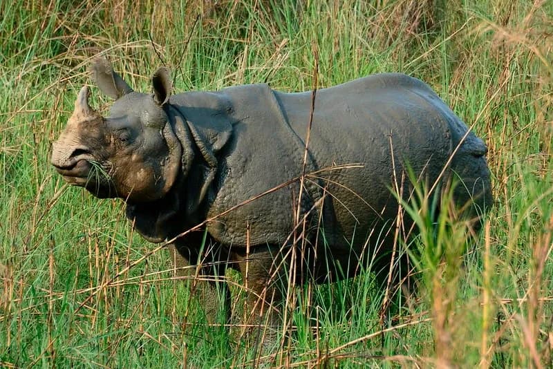 Water Cars in Dubai: What a Jet Car Ride Is, Who It’s For, Best Views & How to Plan Your Day