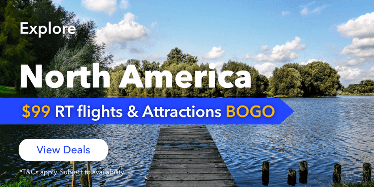 Happy New Year Offer