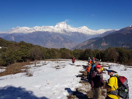 Poon Hill Trek 4 days from Pokhara